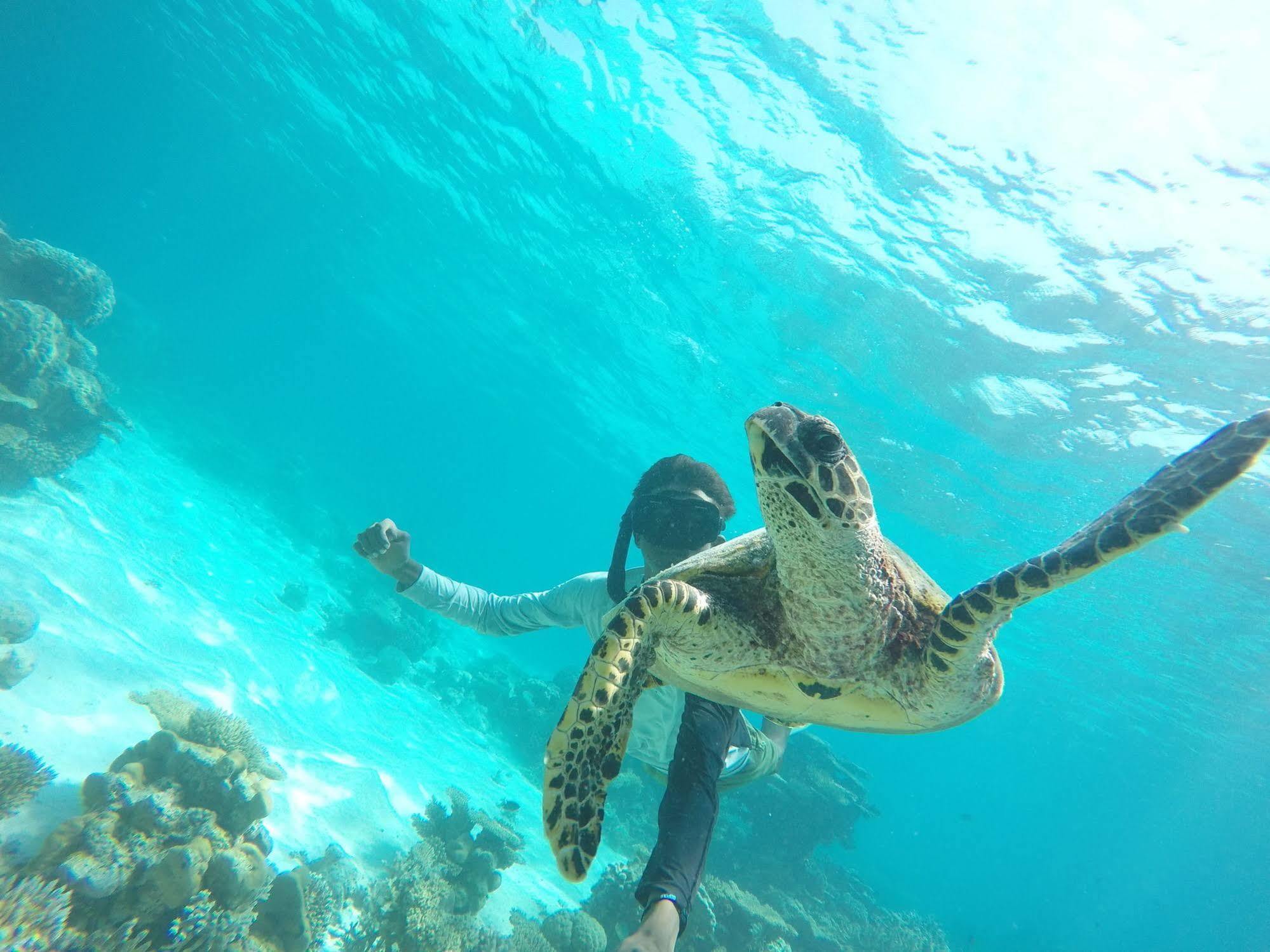 Lily Rest Maldives Hotel Maafushi Bagian luar foto